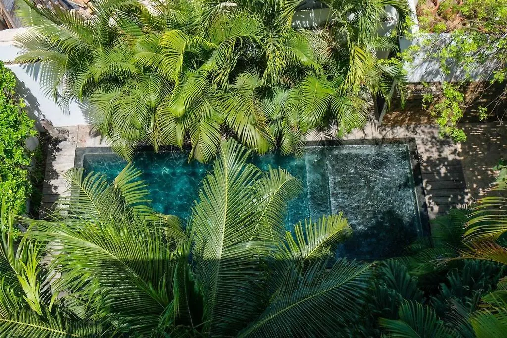 Come And Relax In The Jungle Of Tulum 4001 מקסיקו