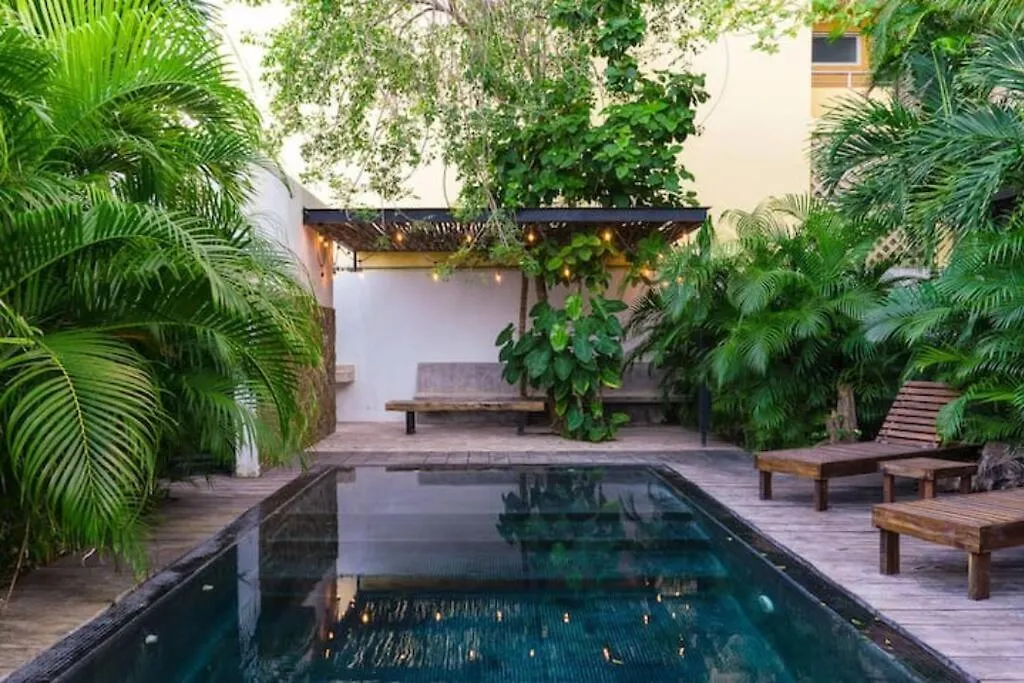 Daire Come And Relax In The Jungle Of Tulum 4001 Meksika