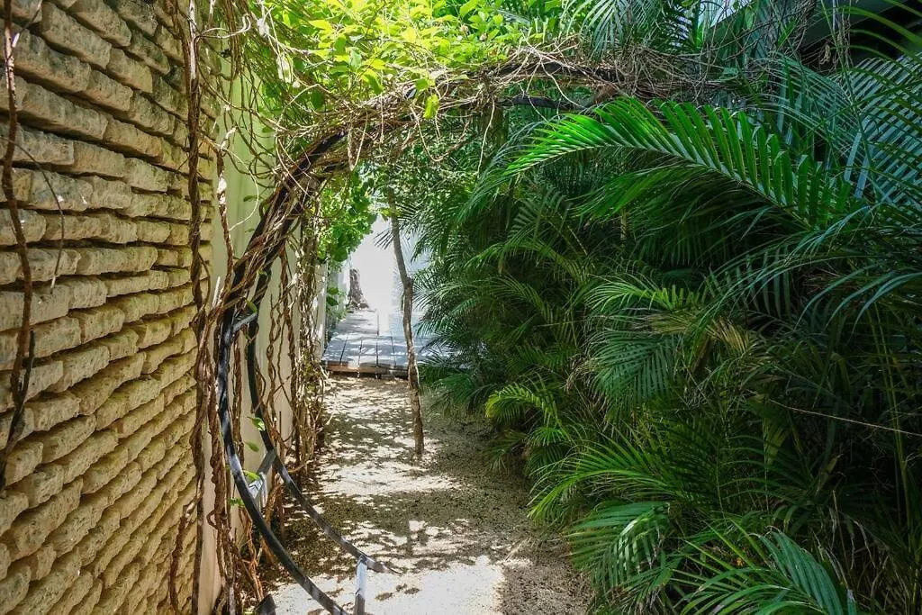 Daire Come And Relax In The Jungle Of Tulum 4001