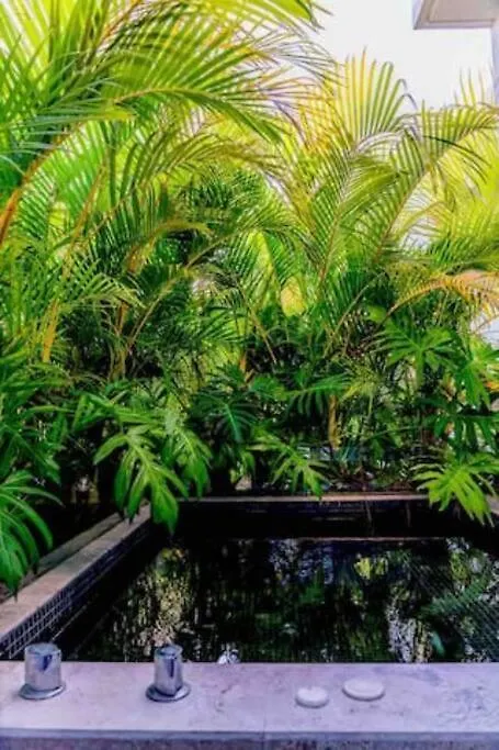 Daire Come And Relax In The Jungle Of Tulum 4001